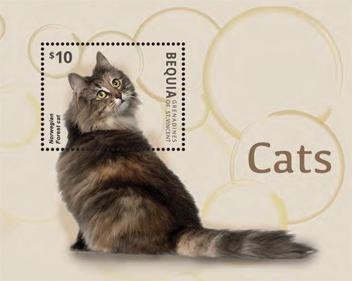 Bequia grenadines of saint vincent | cats, 2014 | 1420 s/s mnh
