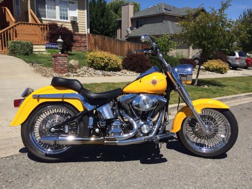 2000 Harley-Davidson Softail