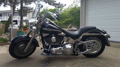 2003 Harley-Davidson Softail