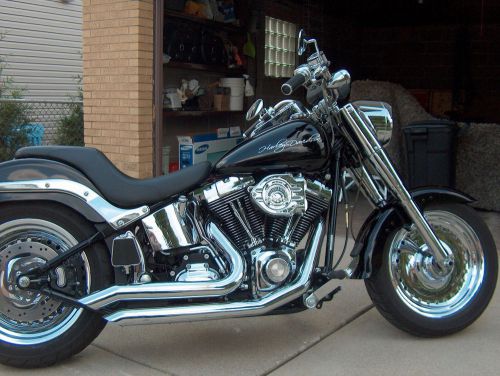 2007 harley-davidson softail