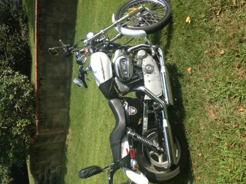 2005 883 Harley Davidson Sportster W/ 3900 Miles!!