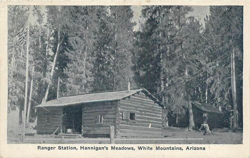 WHITE MOUNTAINS, AZ Arizona RANGER STATION Hannigan&#039;s Meadows 1936? Postcard