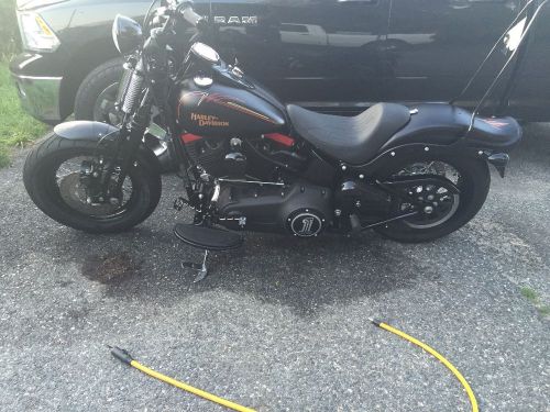 2009 Harley-Davidson Softail