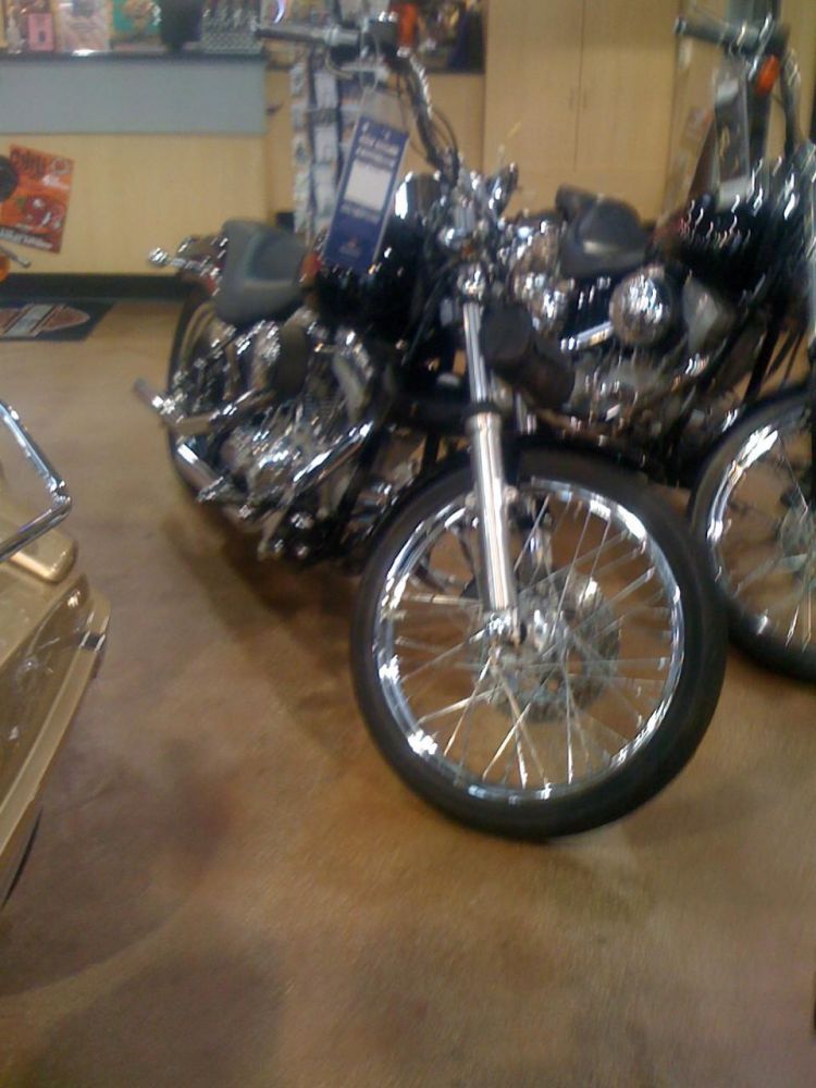 2006 harley-davidson softail custom cruiser 