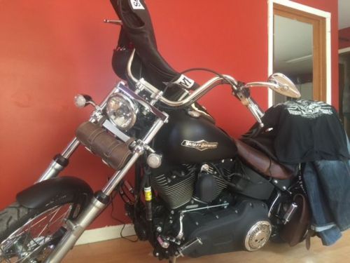 2009 Harley-Davidson Softail