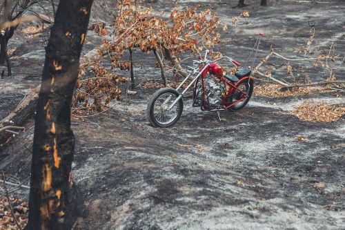 1978 Honda CB, US $7,500.00, image 9