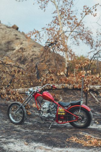 1978 Honda CB, US $7,500.00, image 10