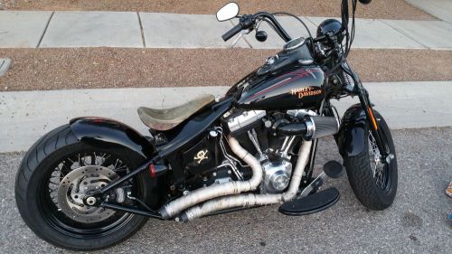 2009 Harley-Davidson Softail