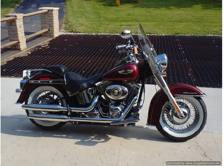2008 harley-davidson softail deluxe flstn 