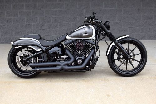 2015 harley-davidson softail