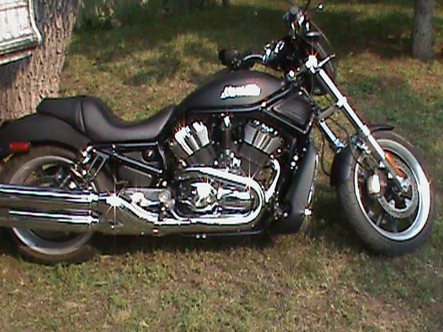 2006 Harley Davidson Nite Rod