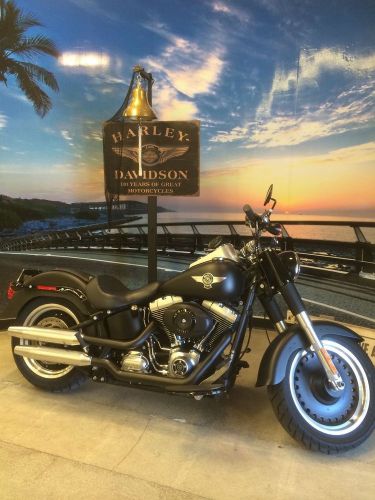 2010 Harley-Davidson Softail