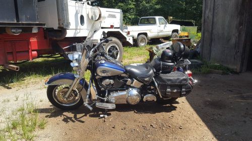 2007 harley-davidson softail