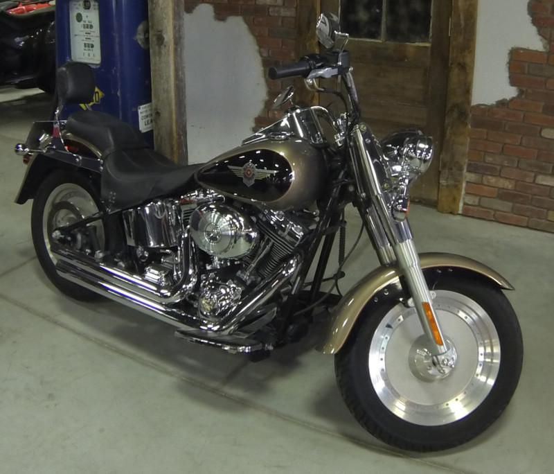 2004 fatboy unique color flstfi