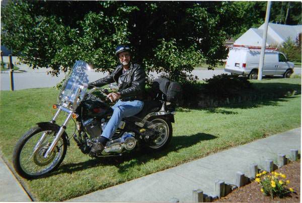 2006 harley davidson softail standard