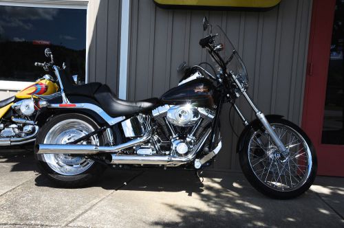 2010 Harley-Davidson Softail