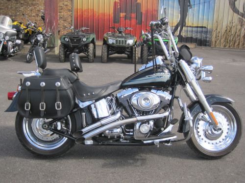 2009 Harley-Davidson Softail