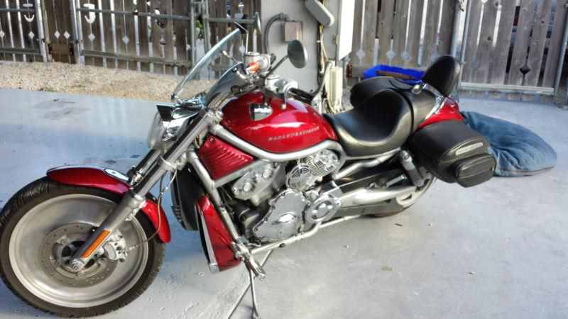 2004 harley vrod