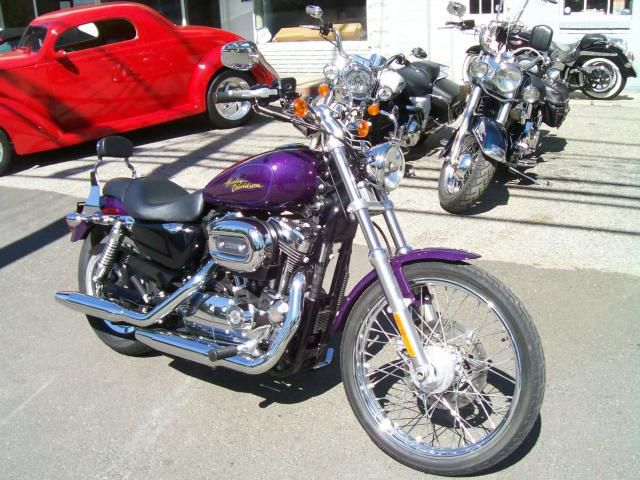 2008 harley davidson 1200 custom sportster $6,999, purple haze