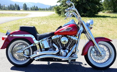 2006 harley-davidson softail
