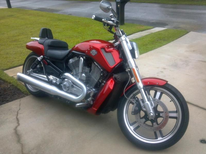 2013 HARLEY MUSCLE ROD