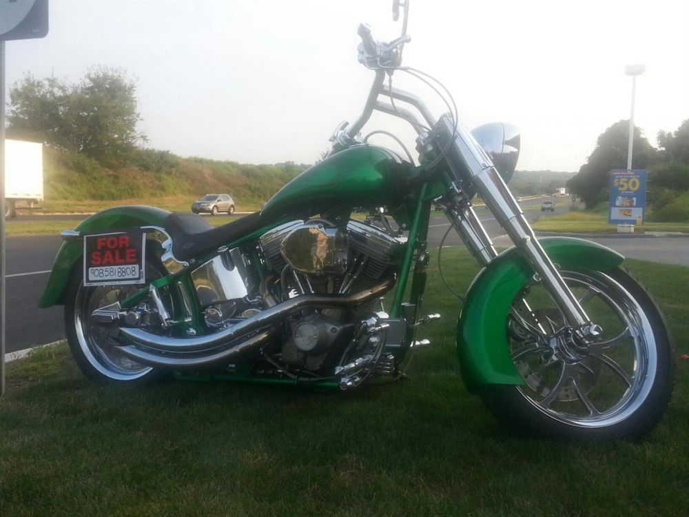 2007 Harley Davidson Custom Build