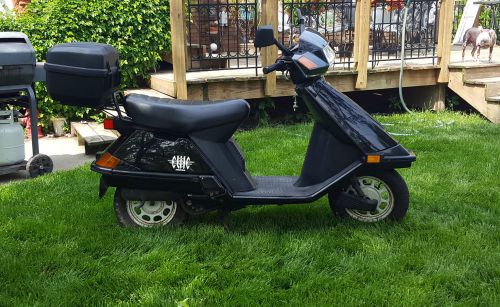 2001 Honda Elite