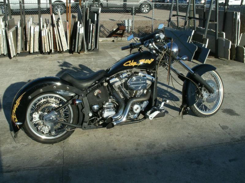 Custom Harley-Davidson Softail