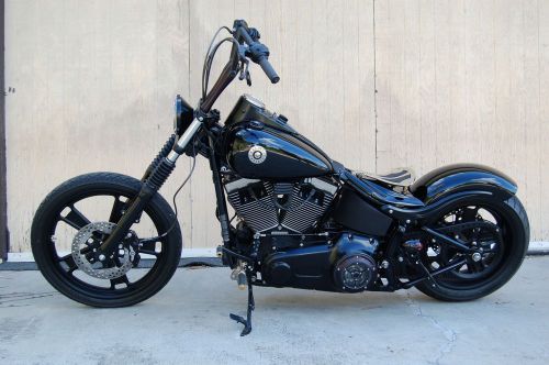 2009 Harley-Davidson Softail
