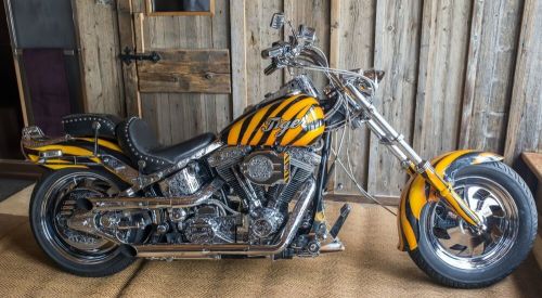 1987 Harley-Davidson Softail, US $7,500.00, image 14