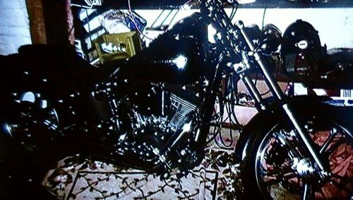 2007 harley-davidson softail