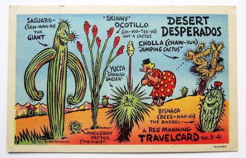 A/S Reg Manning Teich Linen DESERT DESPERADOS Travel Card Postcard