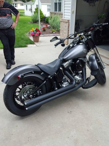 2014 harley-davidson softail