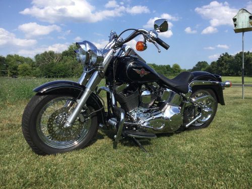 2001 Harley-Davidson Softail