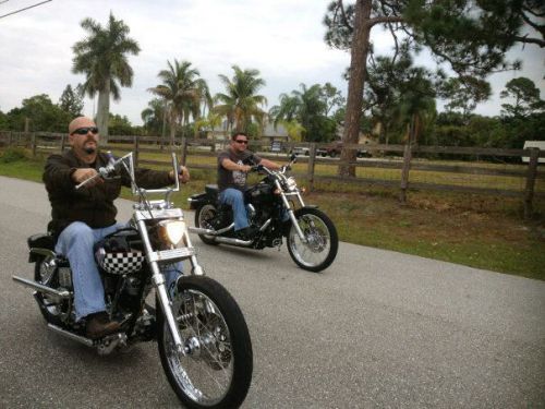 1976 harley-davidson other