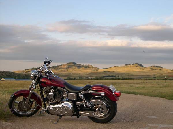 2003 Harley Davidson Dyna Lowrider Custom