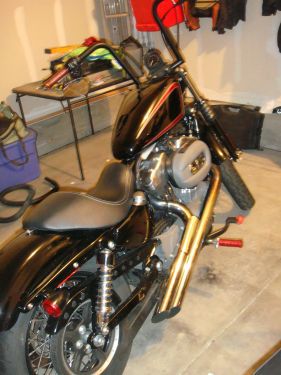 2007 Harley Davidson XL1200N
