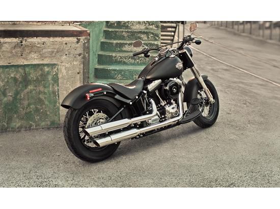 2013 harley-davidson softail softail slim  cruiser 