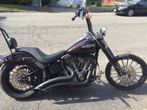 2007 harley-davidson softail
