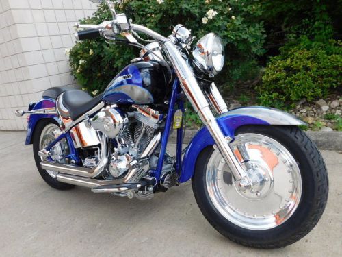2005 harley-davidson softail