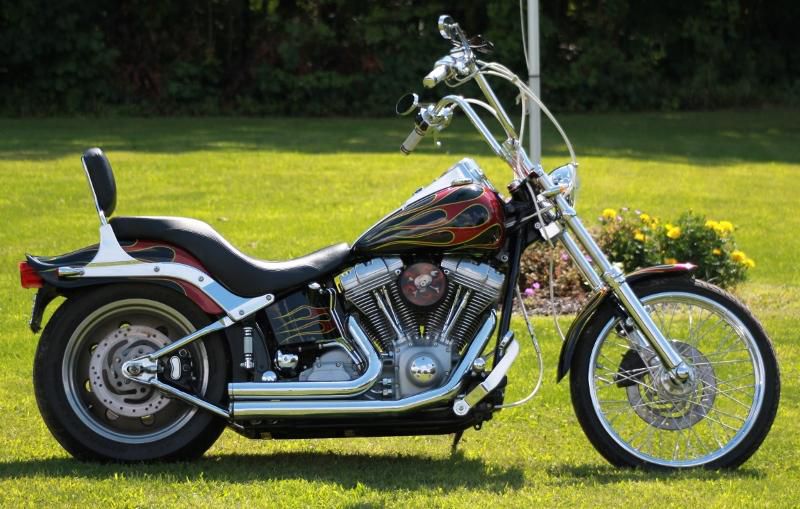 2006 Harley Davidson Softail