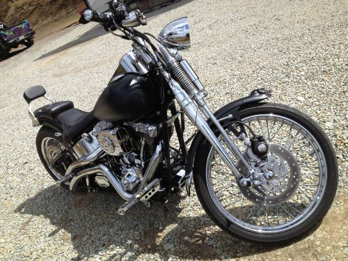 2004 Harley-Davidson Softail, US $15,000.00, image 2