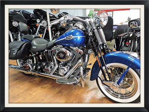 2006 harley-davidson softail