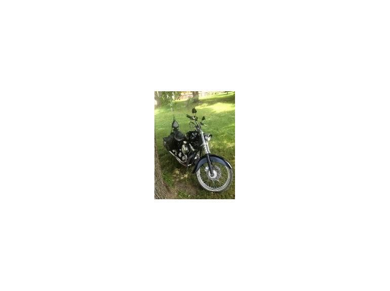 1994 Harley-Davidson Low Rider Custom 