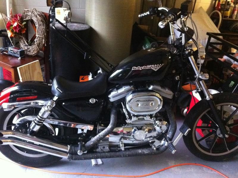 95 Harley Davidson Custom Sportster