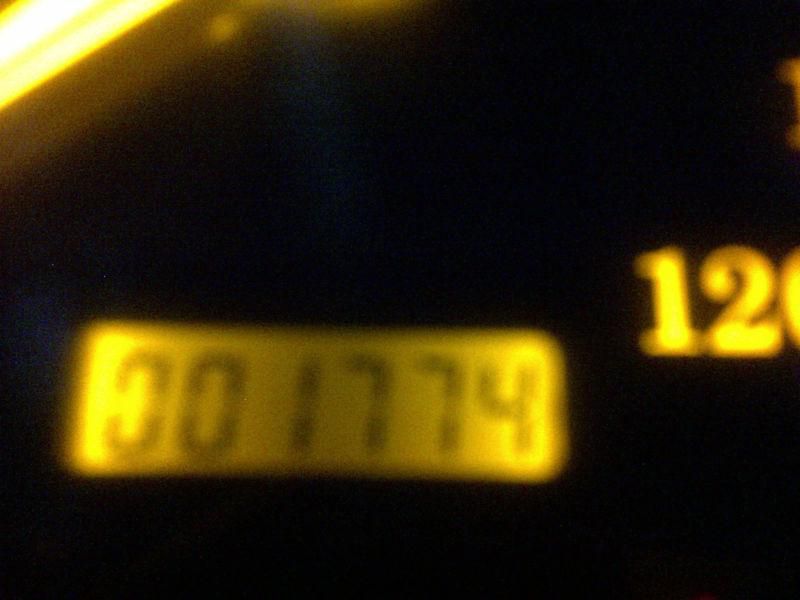 2003 Harley Davidson Softail Standard Anniversary Edition