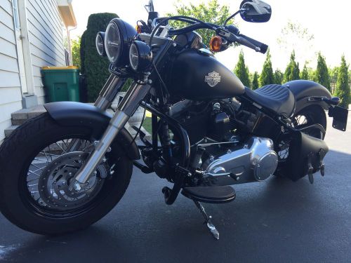 2013 harley-davidson softail