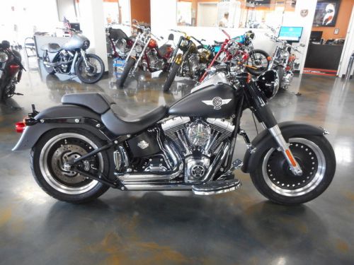 2011 Harley-Davidson Softail