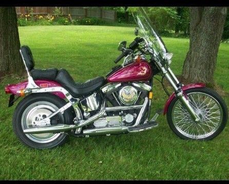 1993 harley-davidson softail