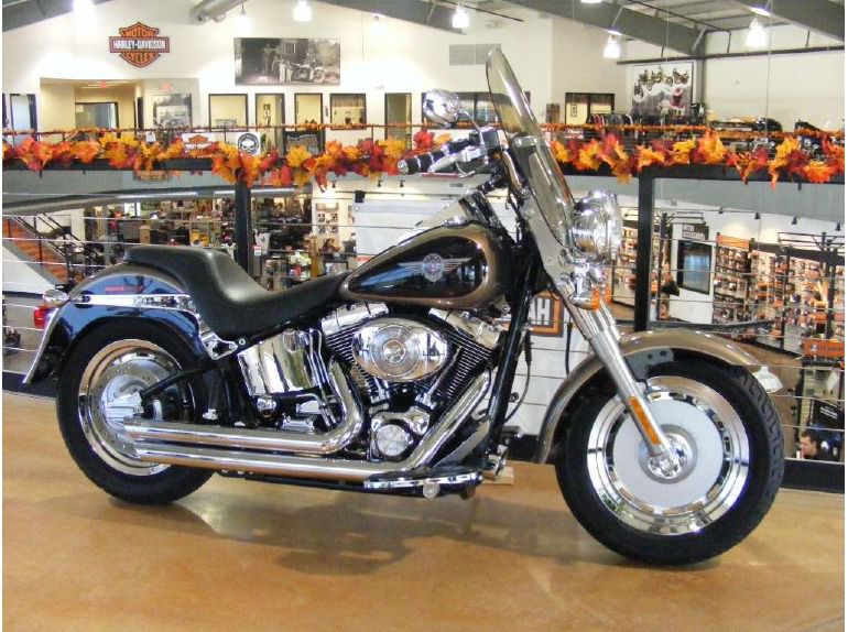 2004 Harley-Davidson FLSTF/FLSTFI Fat Boy 